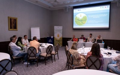 Second Landscape Fire Management Workshop in Podgorica: Enhancing Cooperation and Building Resilience