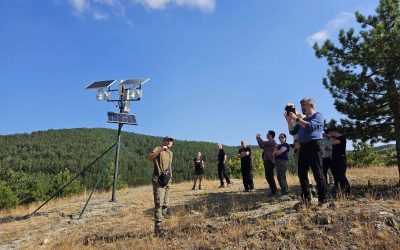 Enhancing Knowledge on Landscape Fire Management: Reflections from the Pelister National Park Educational Visit