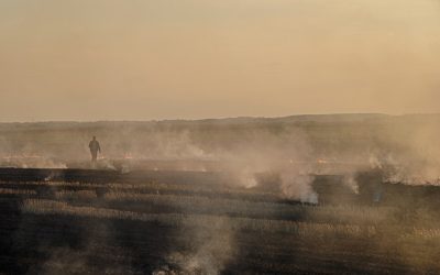 The impact of landscape fires on agriculture in the Western Balkans