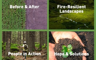 Regional photography traveling exhibition – “Landscapes Fire Protection through the Camera Lens”