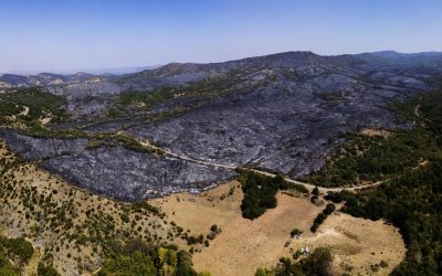 Landscape fire management through the seasons in the Western Balkans