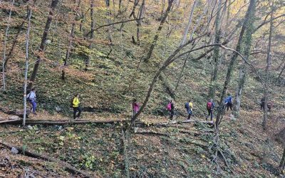 The impact of landscape fires on tourism in the Western Balkans