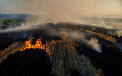 Landscape fires in the Western Balkans: Mid-year situation analysis 2026