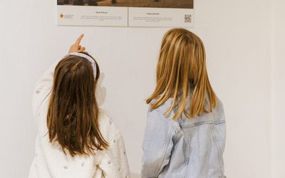 The Travelling Exhibition Continues Its Journey to Sarajevo