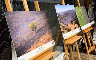 Podgorica hosts the Traveling Exhibition “Landscape Fire Protection Through Your Lens”